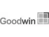 GOODWIN LLC